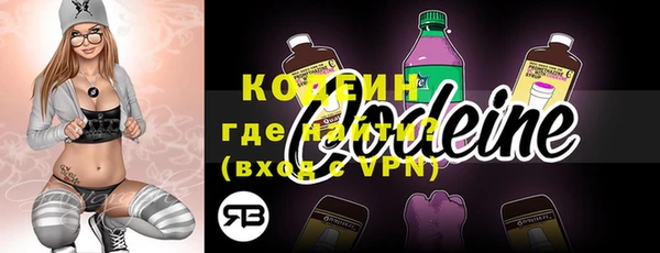 дмт Карпинск